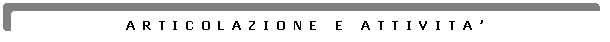 Rettangolo arrotondato: ARTICOLAZIONE E ATTIVITA

